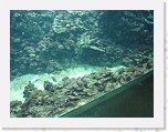 Dierentuin Burgers  Zoo 059 * 3648 x 2736 * (5.63MB)